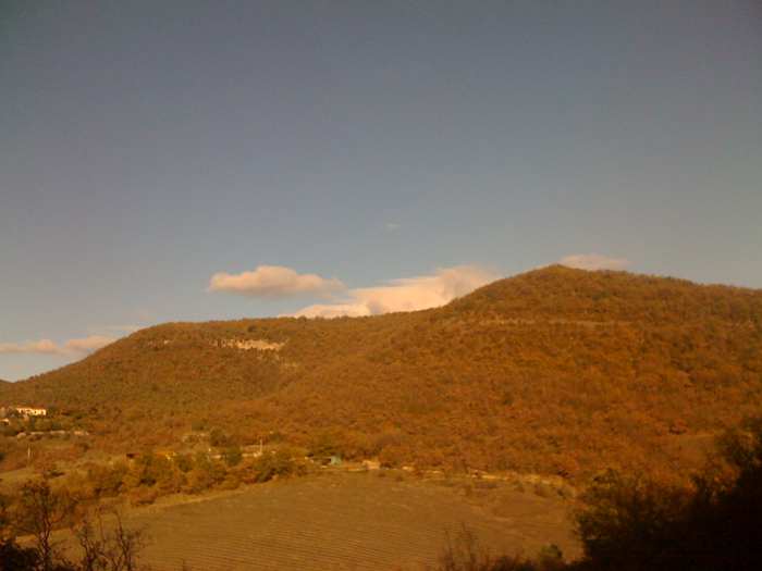 Image posted by MobyPicture.com