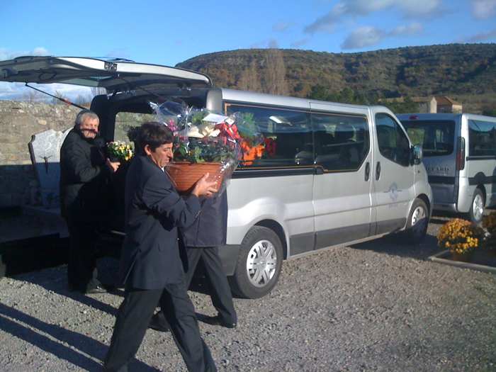 Image posted by MobyPicture.com