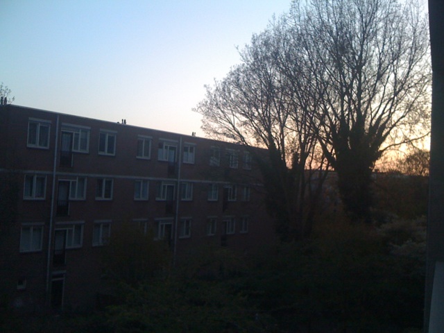 Image posted by MobyPicture.com